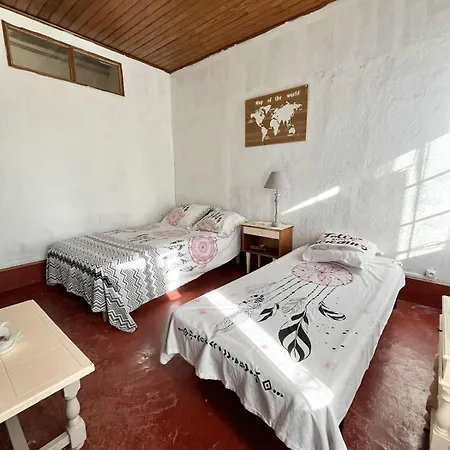 Large In * Lavatoggio