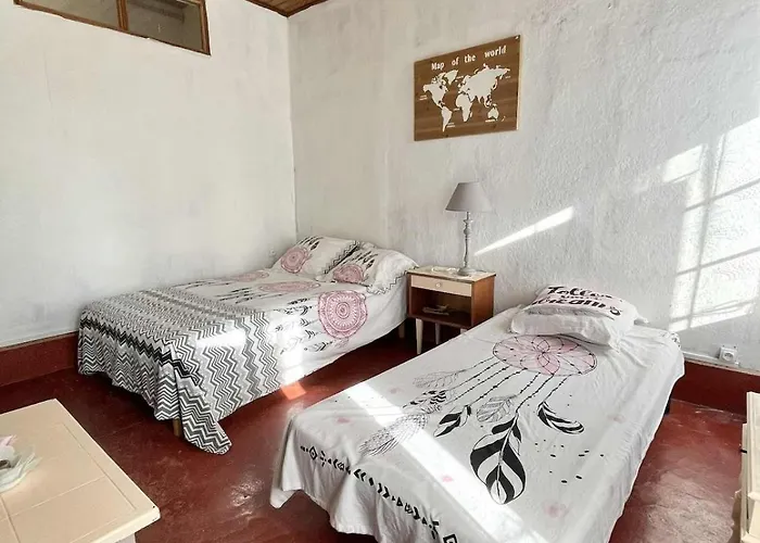 Large In * Lavatoggio